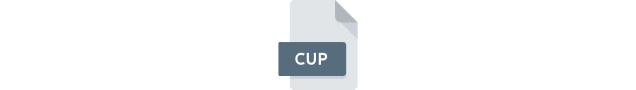 AREPPC2020.cup